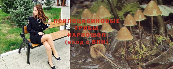 гашик Алзамай