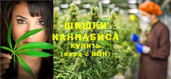 гашик Алзамай