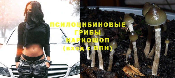марки nbome Алексеевка