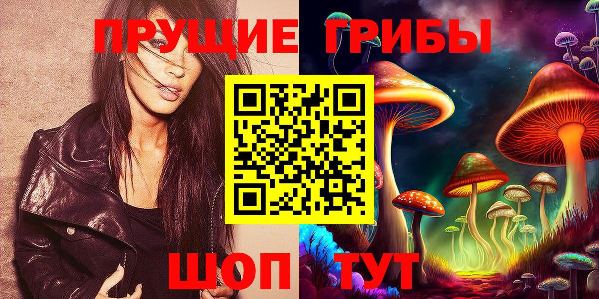 Ирбит  Псилоцибиновые грибы Psilocybine cubensis  Вход с VPN 